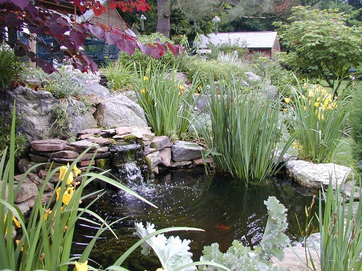 Reliable Professional Pond Cleaning in Essex for Crystal-Clear Results